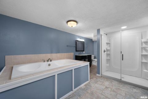 Tiny photo for 202 5TH Street, Matherville, IL 61263 (MLS # QC4268596)