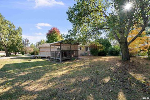 Tiny photo for 202 5TH Street, Matherville, IL 61263 (MLS # QC4268596)