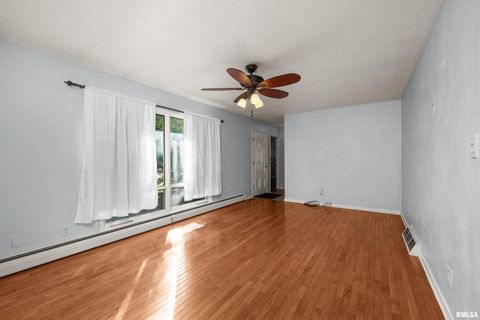 Tiny photo for 202 5TH Street, Matherville, IL 61263 (MLS # QC4268596)