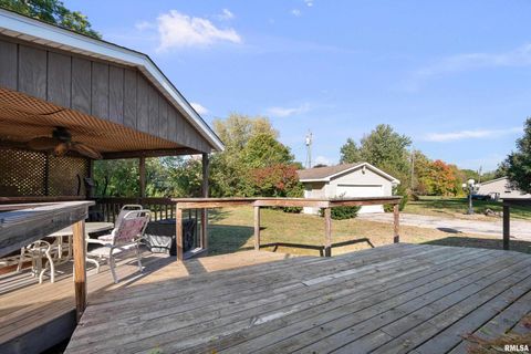 Tiny photo for 202 5TH Street, Matherville, IL 61263 (MLS # QC4268596)