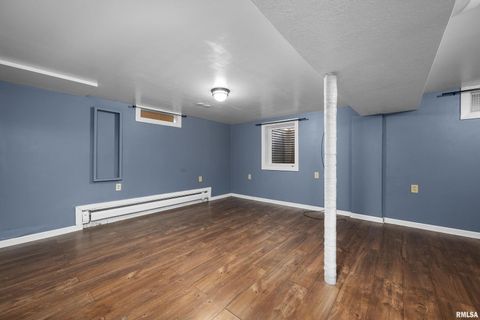 Tiny photo for 202 5TH Street, Matherville, IL 61263 (MLS # QC4268596)