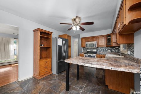 Tiny photo for 202 5TH Street, Matherville, IL 61263 (MLS # QC4268596)