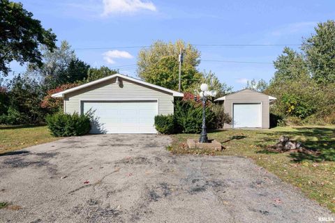 Tiny photo for 202 5TH Street, Matherville, IL 61263 (MLS # QC4268596)