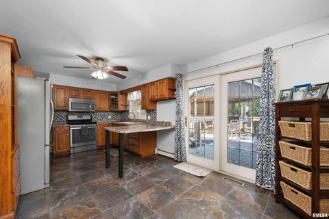 Tiny photo for 202 5TH Street, Matherville, IL 61263 (MLS # QC4268596)