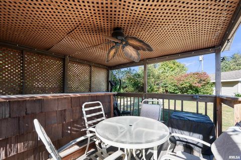 Tiny photo for 202 5TH Street, Matherville, IL 61263 (MLS # QC4268596)