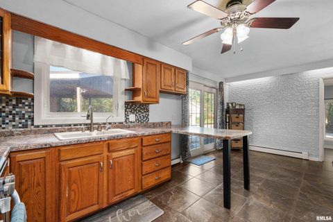 Tiny photo for 202 5TH Street, Matherville, IL 61263 (MLS # QC4268596)