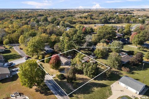 Tiny photo for 202 5TH Street, Matherville, IL 61263 (MLS # QC4268596)