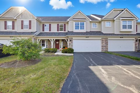 Photo of 8317 Pembridge Court, Joliet, IL 60431 (MLS # 12486697)