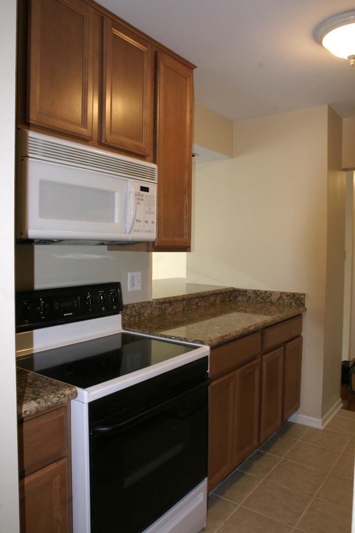 111 E CHESTNUT Street 15F