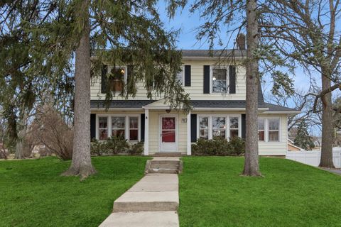 Tiny photo for 917 Division Street, Lisle, IL 60532 (MLS # 12567980)