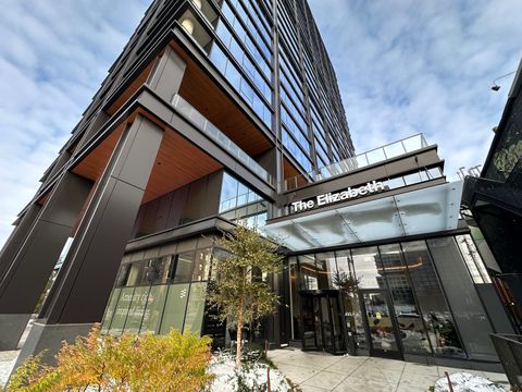 225 N Elizabeth Street 709 Chicago IL 60607