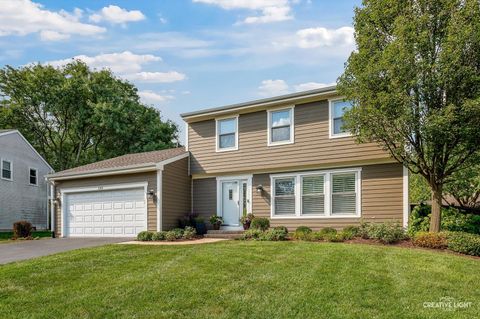 Photo of 233 Briarheath Lane, Naperville, IL 60565 (MLS # 12572184)