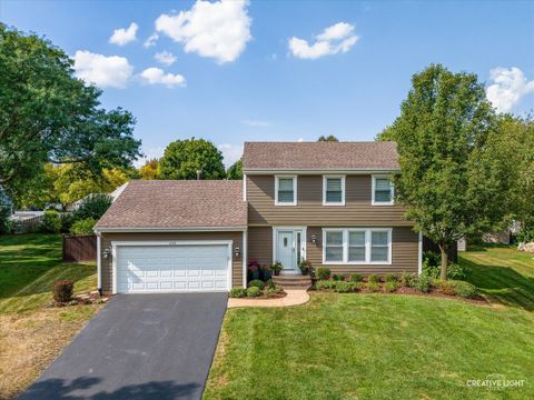 Tiny photo for 233 Briarheath Lane, Naperville, IL 60565 (MLS # 12572184)