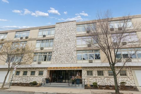 Photo of 222 N Marion Street #2J, Oak Park, IL 60302 (MLS # 12558946)