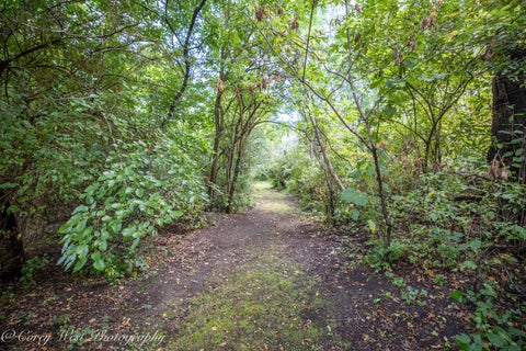 Tiny photo for S243 Rowe Road, Elburn, IL 60119 (MLS # 12760659)