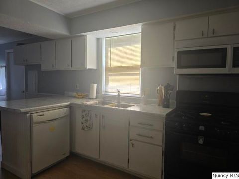 Tiny photo for 1541 Elm Street, Hamilton, IL 62341 (MLS # 12432375)