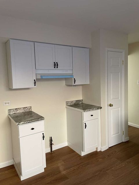 Tiny photo for 10059 Frontage Road #F, Skokie, IL 60077 (MLS # 12520708)