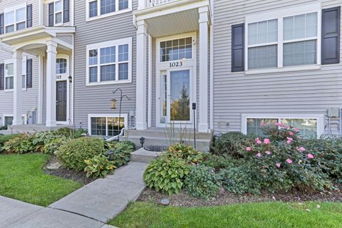 Tiny photo for 1023 Piccolo Lane, Volo, IL 60073 (MLS # 12463395)