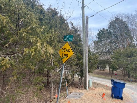 Lot 14 Jill Lane Goreville IL 62939