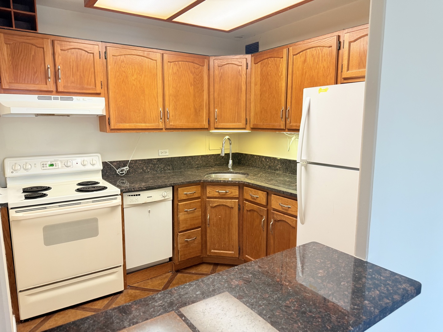 555 W Cornelia Avenue 1107