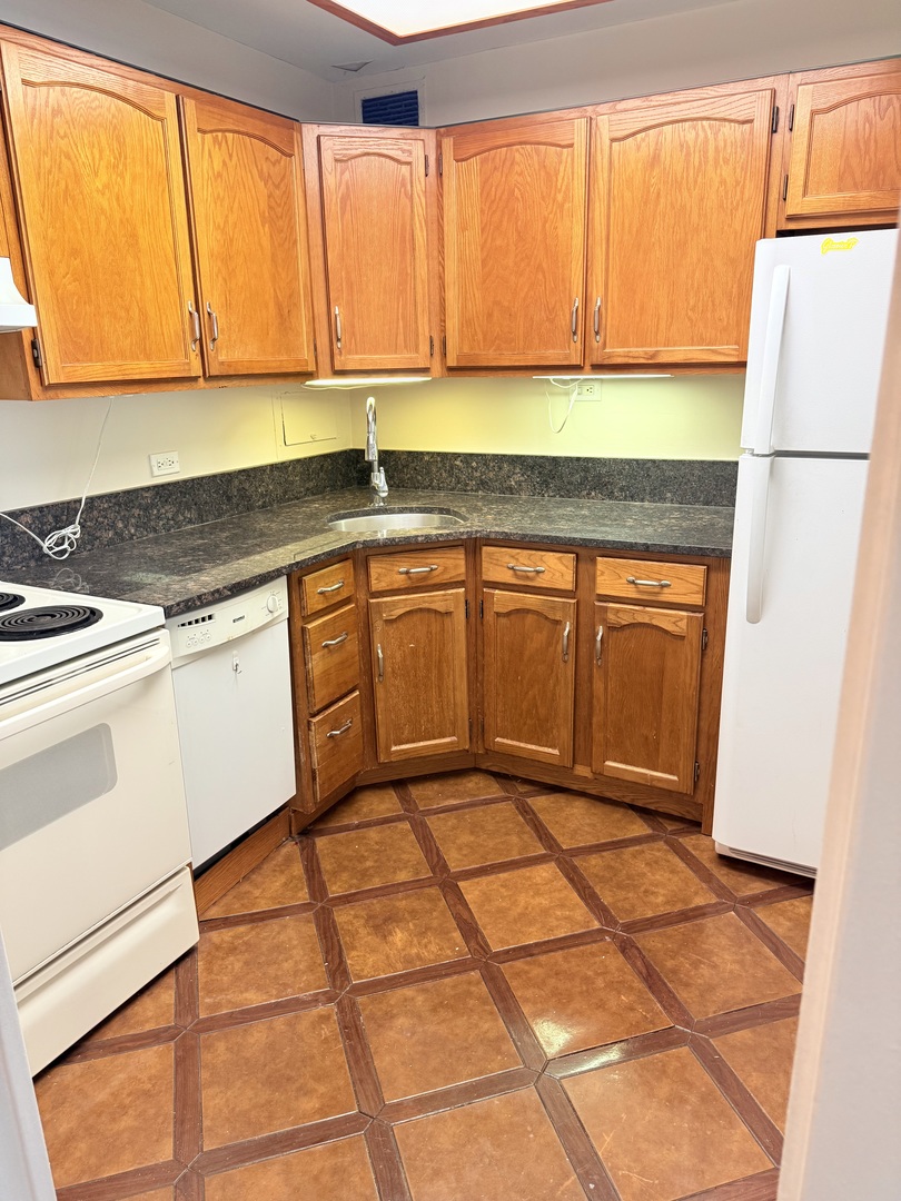 555 W Cornelia Avenue 1107