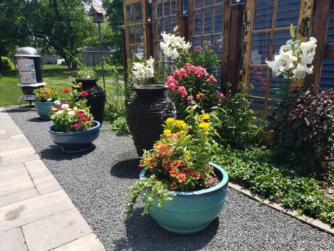 Tiny photo for 145 S HICKORY Street, Palatine, IL 60067 (MLS # 12592960)