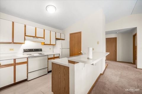 Tiny photo for 1352 Cunat Court #3C, Lake In The Hills, IL 60156 (MLS # 12631822)