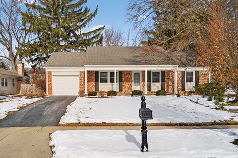1161 Parker Lane Buffalo Grove IL 60089