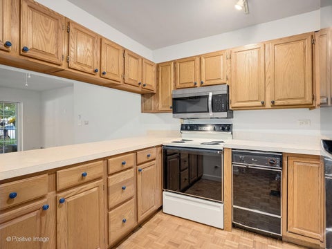 Tiny photo for 101 E Cossitt Avenue #102, La Grange, IL 60525 (MLS # 12773127)