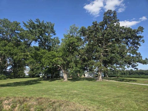 Tiny photo for 3794 Valier Carpet Road, Tamaroa, IL 62888 (MLS # 12686411)