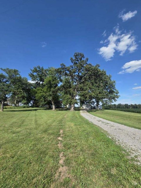 Tiny photo for 3794 Valier Carpet Road, Tamaroa, IL 62888 (MLS # 12686411)