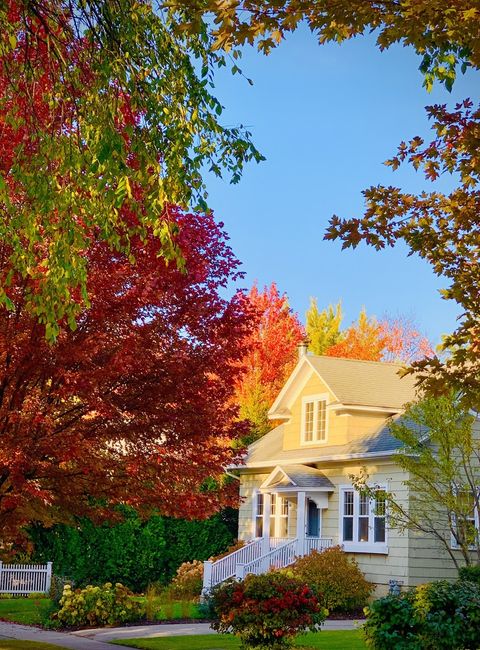 Tiny photo for 19 N June Terrace, Lake Forest, IL 60045 (MLS # 12642617)