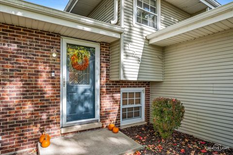 Tiny photo for 123 Heritage Drive, Minooka, IL 60447 (MLS # 12502096)