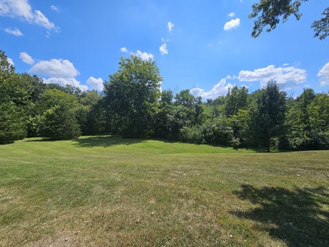 Tiny photo for 2673 County Farm Road, Salem, IL 62881 (MLS # 12751942)