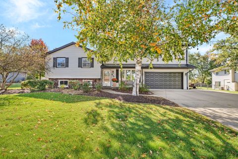 830 Wagon Drive New Lenox IL 60451