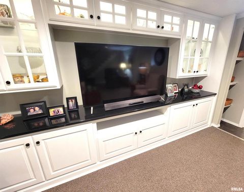 Tiny photo for 2753 N Stanford Road, Flora, IL 62839 (MLS # EB459294)