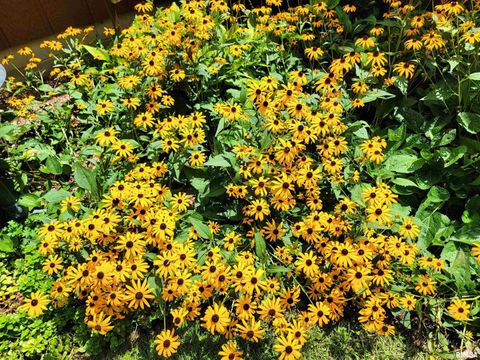 Tiny photo for 2753 N Stanford Road, Flora, IL 62839 (MLS # EB459294)