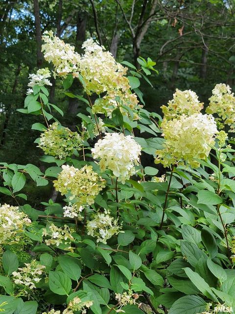 Tiny photo for 2753 N Stanford Road, Flora, IL 62839 (MLS # EB459294)