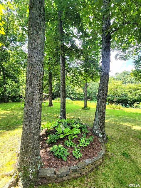 Tiny photo for 2753 N Stanford Road, Flora, IL 62839 (MLS # EB459294)