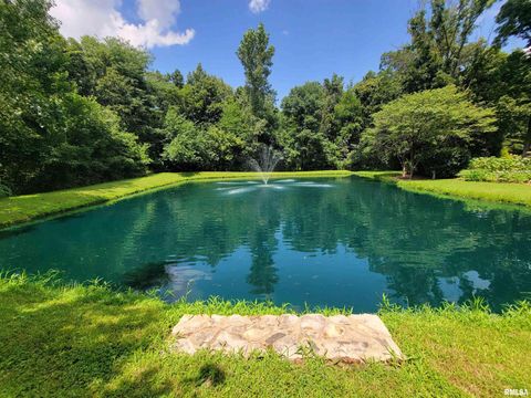 Tiny photo for 2753 N Stanford Road, Flora, IL 62839 (MLS # EB459294)