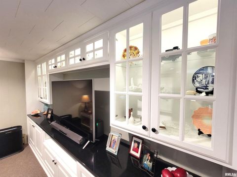 Tiny photo for 2753 N Stanford Road, Flora, IL 62839 (MLS # EB459294)