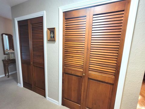 Tiny photo for 2753 N Stanford Road, Flora, IL 62839 (MLS # EB459294)