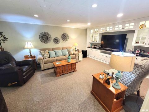 Tiny photo for 2753 N Stanford Road, Flora, IL 62839 (MLS # EB459294)