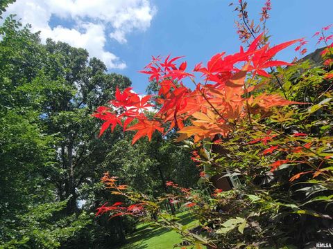 Tiny photo for 2753 N Stanford Road, Flora, IL 62839 (MLS # EB459294)