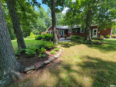 Tiny photo for 2753 N Stanford Road, Flora, IL 62839 (MLS # EB459294)