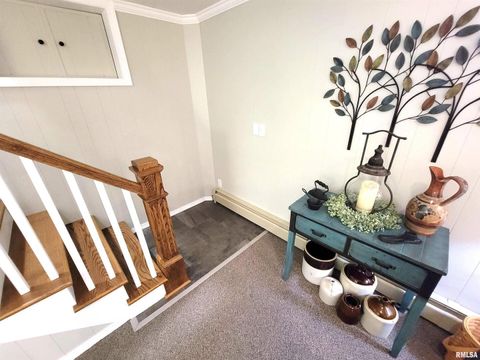 Tiny photo for 2753 N Stanford Road, Flora, IL 62839 (MLS # EB459294)