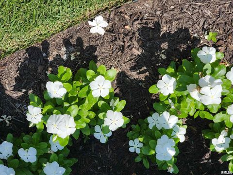 Tiny photo for 2753 N Stanford Road, Flora, IL 62839 (MLS # EB459294)