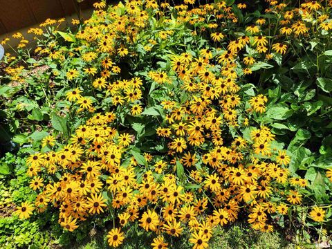 Tiny photo for 2753 N Stanford Road, Flora, IL 62839 (MLS # EB459294)