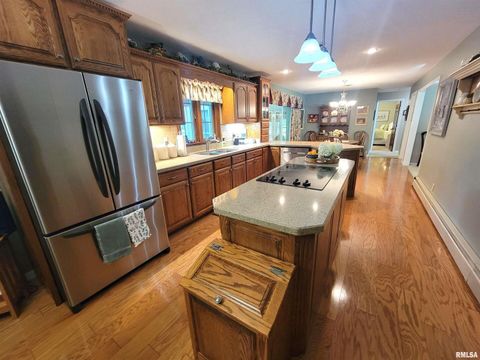 Tiny photo for 2753 N Stanford Road, Flora, IL 62839 (MLS # EB459294)