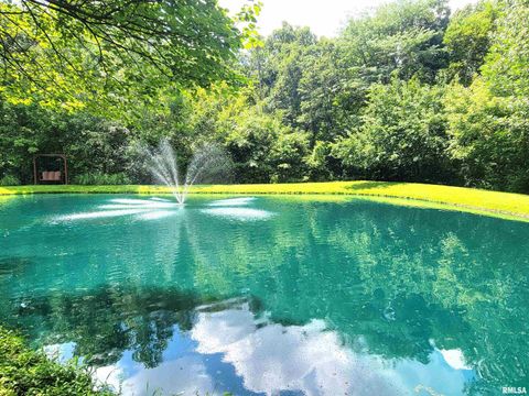 Tiny photo for 2753 N Stanford Road, Flora, IL 62839 (MLS # EB459294)